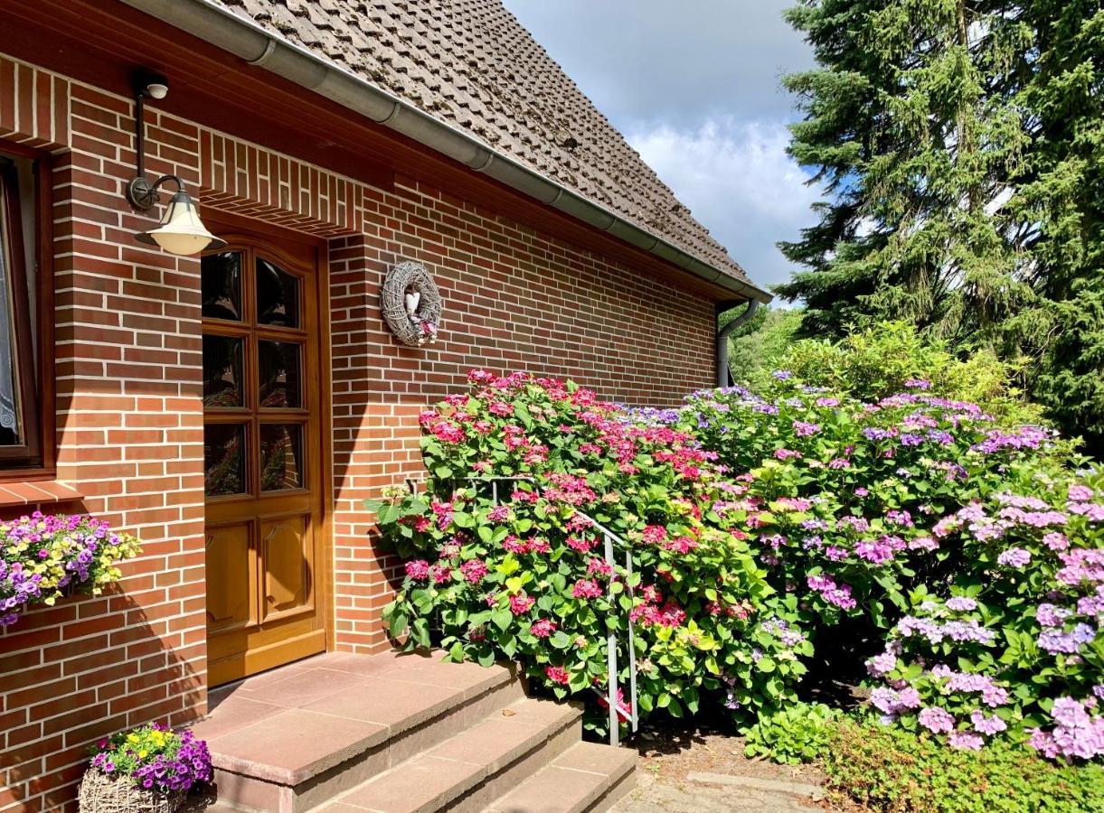 Apartment Hillmer Bispingen Buitenkant foto